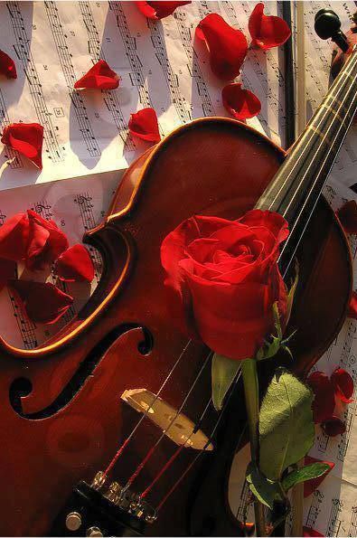 Violín ♪♫♥.....La música es el corazón de la vida. Por ella habla el amor; sin ella no hay bien posible y con ella todo es hermoso. Franz Liszt Violin Music, Music Photo, Violinist, Jolie Photo, Red Aesthetic, Music Love, Piano Music, A Rose, Classical Music