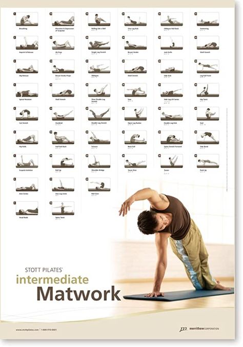 Amazon.com : STOTT PILATES Wall Chart - Intermediate Matwork : Fitness Charts And Planners : Sports & Outdoors Pilates Wall, Pilates Anytime, Stott Pilates, Pilates Matwork, Pilates Machines, Mat Pilates Workout, Routine Planner, Mat Pilates, Pilates Studio