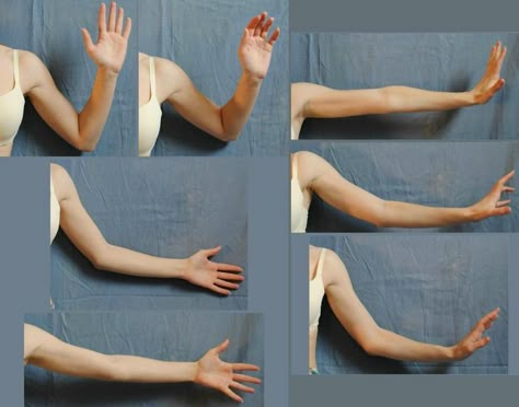 Arm References, Arm Drawing, Jazz Hands, Hand Drawing Reference, Anatomy For Artists, Body Reference Drawing, Hand Reference, Anatomy References, Human Reference