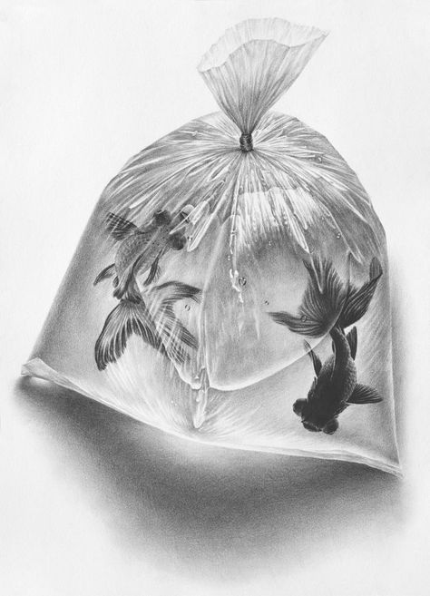 رسم كاريكاتير, Drawing Realistic, Observational Drawing, Charcoal Art, Fish Drawings, Still Life Drawing, 3d Drawings, Graphite Drawings, Pencil Art Drawings