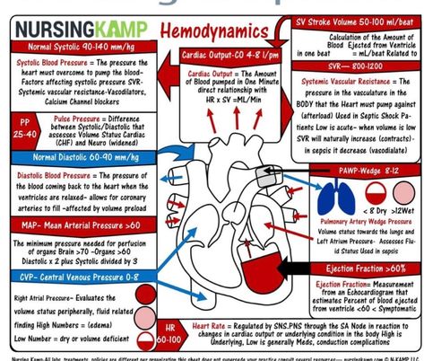 Cardiac Surgery Nursing, Cardiac Catherization Nursing, Hemodynamics Nursing, Cardiac Cath Lab Nurse, Cath Lab Nursing, Paramedic Study, Adn Nursing, Cath Lab Nurse, Cardiac Cath