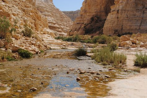 Negev Desert Desert Oasis Concept Art, Clan Ideas, River In Desert, African Desert Landscape, Desert Terrarium, Negev Desert, Desert Village, Desert Plains, Austin Real Estate