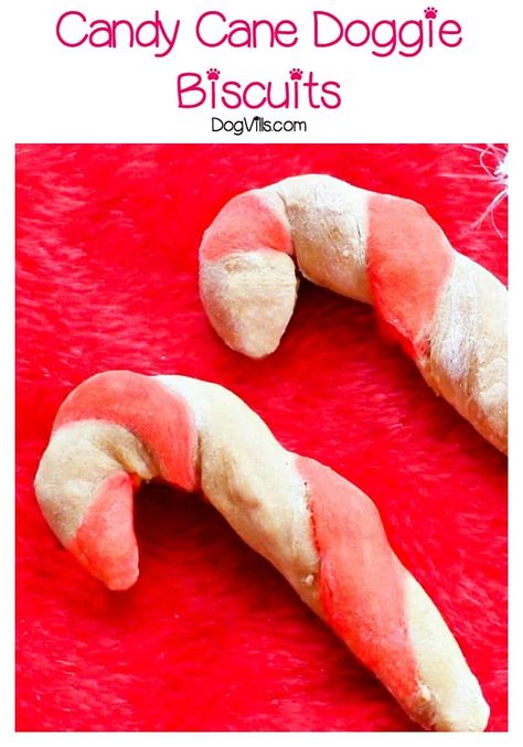 Today we're sharing a festive Candy Cane hypoallergenic dog treat recipe that's perfect for your dog's holiday stocking! Candy Cane Dog Treats, Candy Cane Treats, Cranberry Dog Treats, Hypoallergenic Dog Treats, Dog Candy, Dog Treat Recipe, Candy Cane Cookies, Pet Projects, Hypoallergenic Dogs