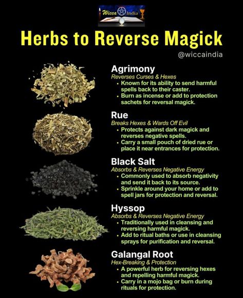 Lucky Herbs Witchcraft, Expose A Liar Spell, Herbs And Their Uses Witchcraft, Galangal Root, Wiccan Illustration, Hoodoo Magic, Candle Magic Spells, Reclaim Your Power, Magickal Herbs