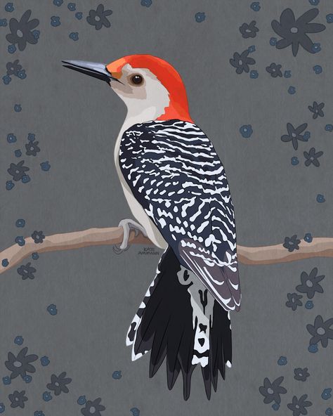 #birds #art #digitalart #illustration #birdart #animals #woodpecker Woodpecker Illustration, Woodpecker Art, Spotted Woodpecker, Downy Woodpecker, Birds Art, Art Appreciation, Bird Illustration, Bird Art, Do More