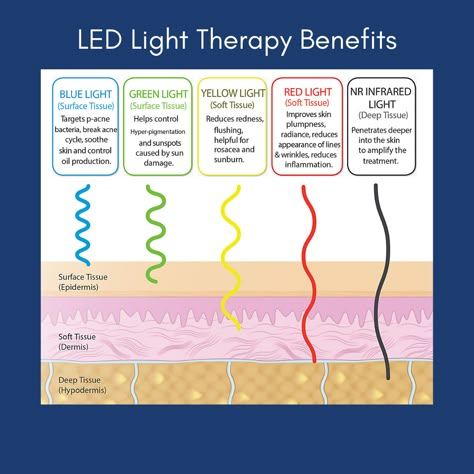 Celluma and My Skin Buddy both offer led benefits! Add it to a facial or purchase one for home use. 🌎#Louisville ⚜️ 🧖🏽‍♀️#SkinCare 💆🏼‍♀️💆🏽‍♂️ #TherapeuticMassage ⭐️#BodyTreatments 📸: #SerenitySpa #LouisvilleDaySpa #Facials #Massage Led Light Facial, Esthetician Inspiration, Neck Tension, Massage Therapy Rooms, Beauty Skin Quotes, Facial Therapy, Esthetician Marketing, Skin Facts, Skin Advice