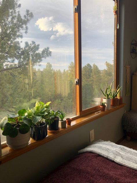 Windowsill Decor Bedroom Aesthetic, Small Windowsill Decor, Aesthetic Window Sill, Plants On Window Sill, Window Plants Aesthetic, Loft Windooaownn Plants, Plants On Window Sill Aesthetic, Window Sill Decor, Teenager's Room