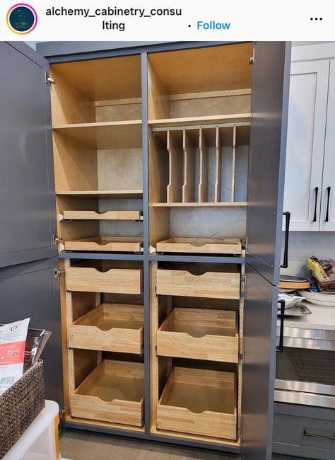 Kitchen Cabinetry Organization, Cabinets Next To Stove Kitchen Ideas, Building Custom Cabinets, Built In Cabinet In Kitchen, Counter Depth Pantry Cabinet, Kitchen Cabinet Built In Organization, Built In Vegetable Racks In Kitchen, Maximum Storage Kitchen, Bottom Cabinets Only Kitchen