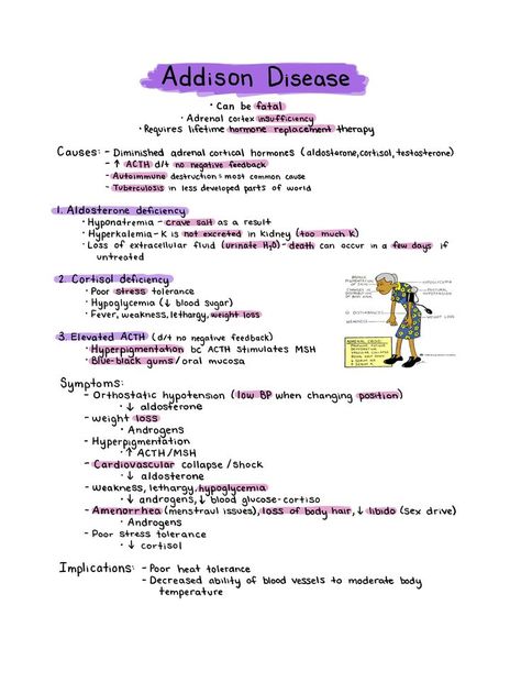 Nursing School Studying Cheat Sheets, Nursing School Life, Nursing School Inspiration, Medical Assistant Student, Nursing School Essential, Nursing School Motivation, Addisons Disease, Nurse Study Notes, Nursing Student Tips