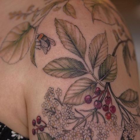 Melanie 🌸 on Instagram: "Thank you Rianne for another great botanical piece! 💕🌸🌼 #elderflowertattoo #elderflower #lindentree #hazelnut #botanicaltattoo #botanical #floraltattoo #melaniemae" Elderflower Tattoo, Tatoo Inspiration, Linden Tree, Witch Tattoo, Botanical Tattoo, August 22, Kitchen Witch, Hazelnut, Flower Tattoo