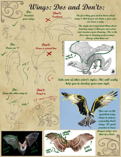 How To Draw Wings, Fantasy Anatomy, Draw Wings, Drawing Dragons, Dragon Anatomy, Wings Drawing, Art Advice, Dragon Sketch, Drawing Help