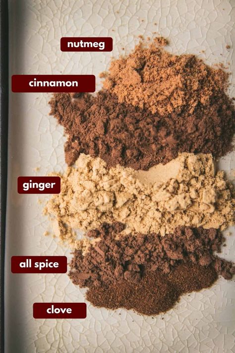 Copycat Pumpkin Spice Latte, Homemade Pumpkin Pie Spice, Pumpkin Pie Spice Recipe, Gingerbread Spice, Pie Spice Recipe, Pumpkin Pie Spice Mix, Homemade Spice Mix, Homemade Pumpkin Pie, Christmas Spices