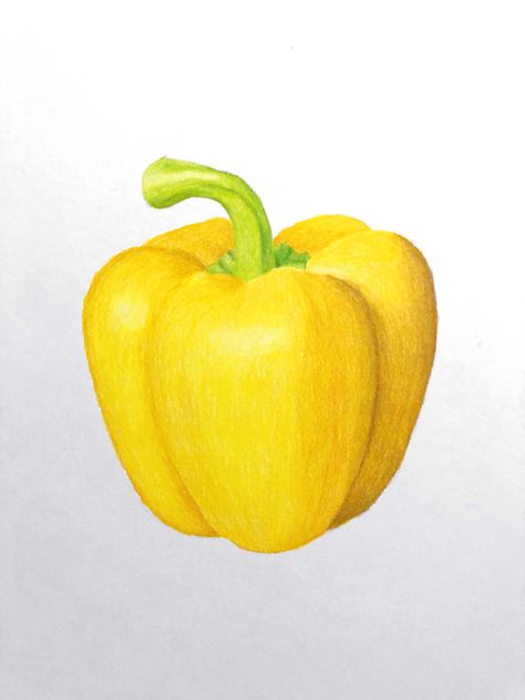 Bell Pepper Drawing Pencil, Bell Pepper Drawing, Bell Pepper Art, Yellow Bell Pepper, Bell Pepper Reference, Capsicum Watercolor Painting, Vegetable Cartoon, Yellow Pepper, Dot Art Painting