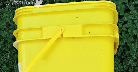 Repurposed Cat Litter Bucket, Upcycle Inspiration, Reuse Crafts, Diy Cooler, Tidy Cats, Kitty Litter, Garage Garden, Gardening Vegetables, Upcycle Ideas