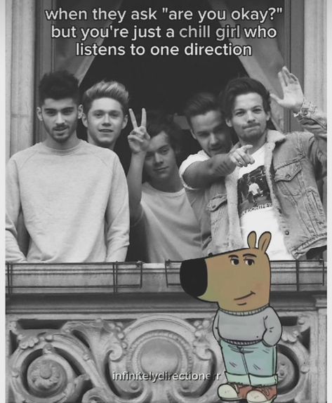 One Direction Fan Aesthetic, 1 Direction Memes Funny, 1d Memes Funny, Larry Stylinson Memes Funny, One Direction Memes Funny, One Direction Funny Pictures, One Direction Reaction Pics, One Direction Birthday, 1d Pictures