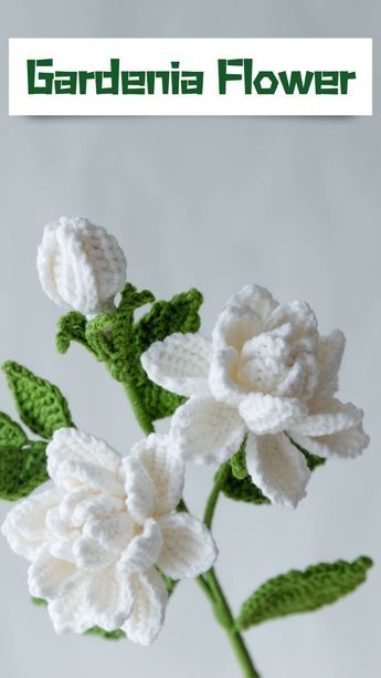 Beginners Free Guide to Stunning Crochet Simple Flowers Crochet Camelia Flower, Crochet Marigold Free Pattern, Crochet Bluebonnet, Crochet Flower Vines Free Pattern, Crochet White Flowers, Crochet White Flower, Crochet Orchid Free Pattern, Cute Beginner Crochet Projects, Crochet Potted Plants Free Pattern