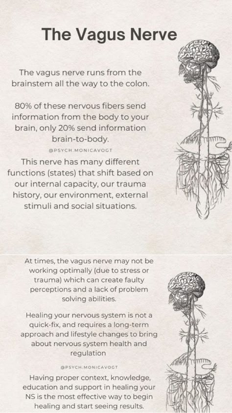 Vagus Nerve Picture, Vagal Nerve Healing, Vagus Nerve Acupressure, Vague Nerve, Vagus Nerve Healing, Hyper Vigilance, Vagus Nerve Damage, Nervus Vagus, Nerve Disorders