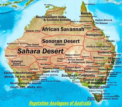 Climate Analogues of Australia - Vivid Maps Australian Maps, Wine Map, Physical Geography, Australia Map, Sustainable Tourism, Sonoran Desert, Places In The World, Biome, Southern Africa