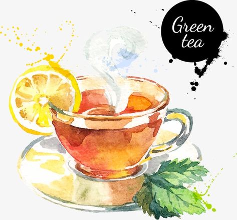 green tea,Hand Painted,cup,watercolor,green vector,tea vector,cup vector Tee Illustration, Tee Kunst, Food Art Painting, Tea Illustration, Fruits Drawing, Food Sketch, Food Illustration Art, Watercolor Food, Food Painting