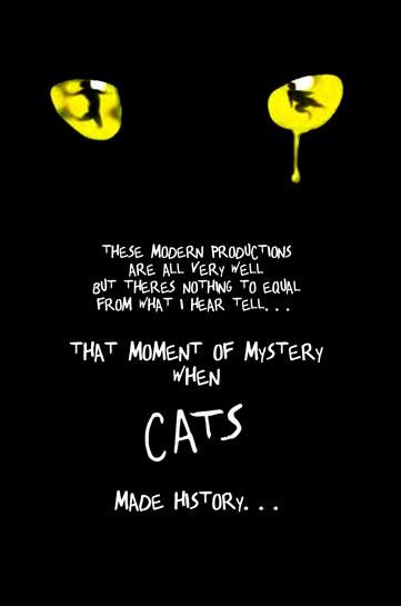 These Modern Productions.... Cats The Musical Wallpaper, Broadway Tattoos, Broadway Quotes, Jellicle Cats, Cats Musical, Musical Theatre Broadway, Musical Plays, Theatre Life, Cat Person