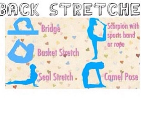 Back stretches for cheer dance or gym! Cheer Workouts For Flyers, Stretches For Cheer, Cheer Flexibility, Cheer Stretches, Cheerleading Tips, Cheerleading Workouts, Cheer Flyer, Cheer Hacks, Dance Stretches