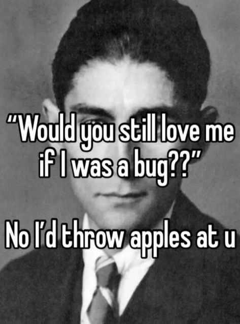 Franz Kafka Memes, Philosophy Memes, The Metamorphosis, Literature Humor, All Jokes, Franz Kafka, Karl Marx, Literature Books, Albert Camus