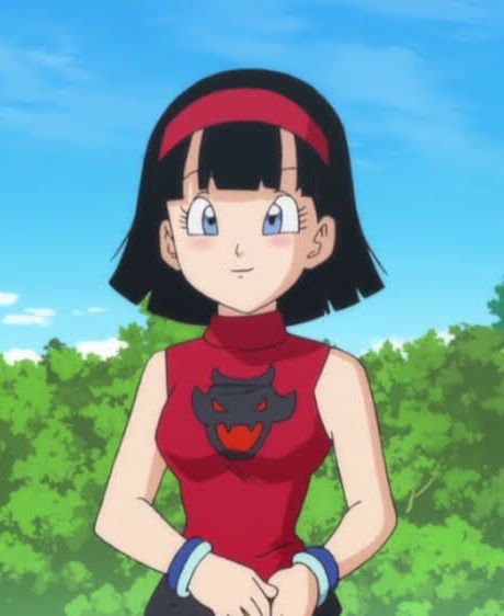 Videl Dragon Ball, Gif, Tumblr, Anime, On Instagram, Blue, Instagram, Black