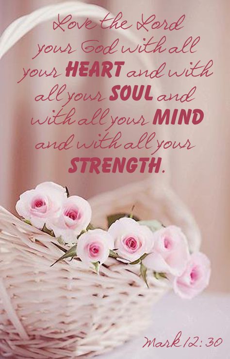 Mark 12:30 Mind Strength, Flowers In Basket, Mark 12 30, Gospel Of Mark, Inner Being, Beautiful Scripture, Ayat Alkitab, Daily Prayers, Love The Lord