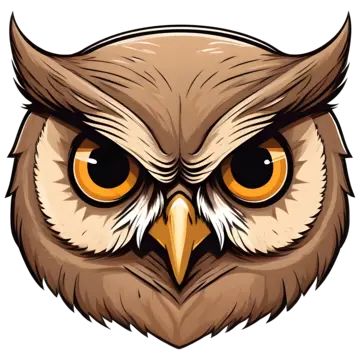 Owl Clipart, Face Clipart, Owl Png, Owl Face, Cartoon Owl, Angry Face, Owl Eyes, Cartoon Clipart, Owl Cartoon