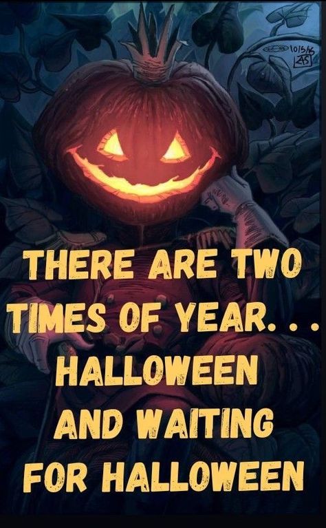 There are two times of year... Halloween and waiting for Halloween Waiting For Halloween, Marla Singer, New Orleans Voodoo, Spider Man 3, Halloween Humor, Halloween Eve, Halloween Memes, Halloween Queen, Halloween Countdown