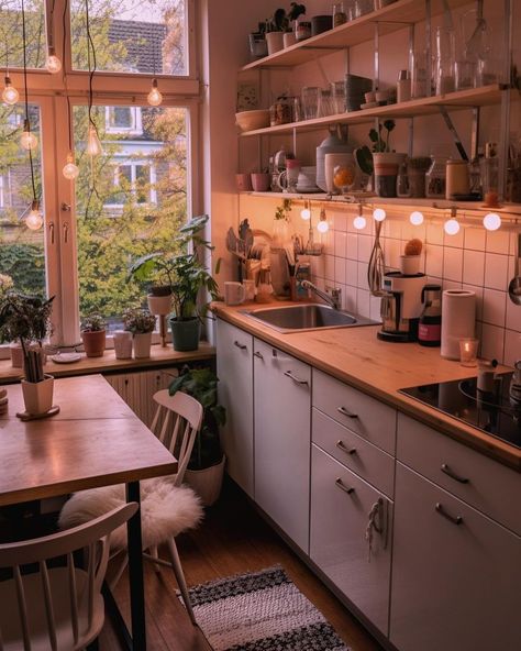 Witchy Kitchen Decor, Edinburgh House, Witchy Kitchen, 2024 Moodboard, Kitchen Updates, Pretty Views, Cosy Kitchen, Kitchen Redesign, Kitchen Aesthetic