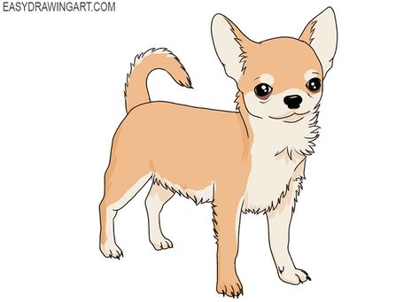 how to draw a cartoon chihuahua Anime Chihuahua, Cartoon Chihuahua, Chihuahua Drawing, Apple Head Chihuahua, Chihuahua Art, Apple Head, Drawing Lesson, Long Haired Chihuahua, Drawing Heads