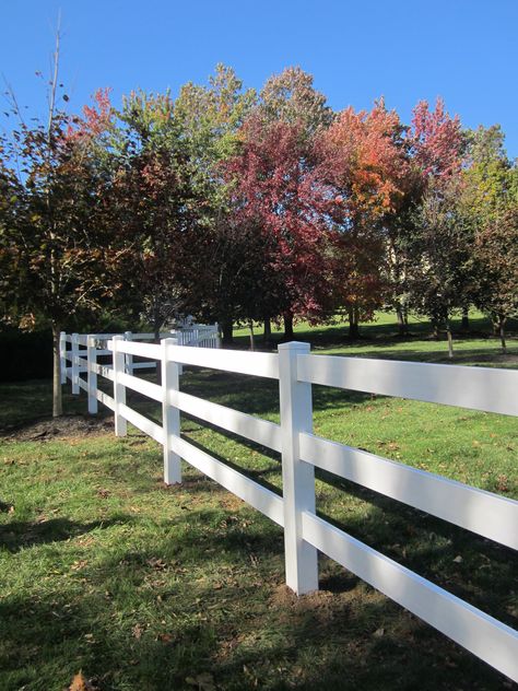 4' tall white Ranch Rail vinyl White Farm Fence, Ranch Rail Fence, Cottage Fence, Ranch Home Plans, Garden Fence Cheap, Farm Fencing, Wooden Fence Posts, Easy Fence, Farmhouse Life