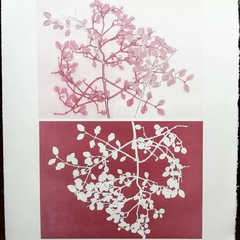 Stine Fält-hansen on Instagram: "Upside down print. Monotype and ghost print technique made with real plants. The printplate has been prinetet two times. It makes the print size 56 x 38 cm. Papersize app 78 x 53 cm. #printmaking #monotype #ghostprint" Monotype Prints Fine Art, Stencil Monotype, Printmaking Monotype, Monotype Prints, Studio Drawing, Printmaking Studio, Stamp Print, Printmaking Ideas, Ghost Print