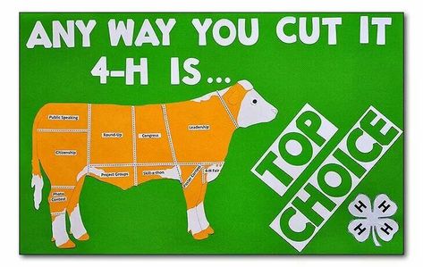 4h Poster Ideas, 4h Animals, 4h Shirts, 4-h Poster Ideas, County Fair Projects, 4h Fair, Ffa Ideas, 4 H Clover, Teach Ag