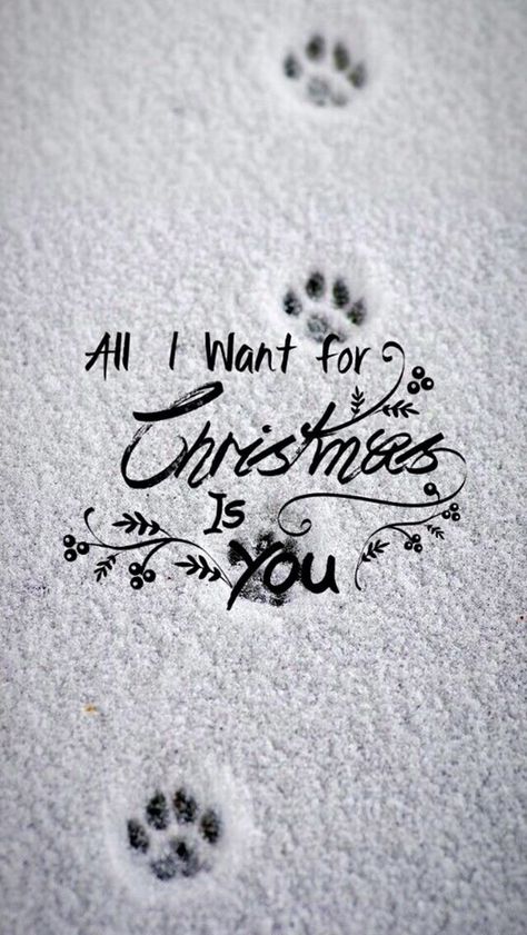 Pets Images, Cute Christmas Decorations, Merry Christmas Quotes, Motivation App, Xmas Wallpaper, Merry Christmas Images, Merry Christmas Wishes, Holiday Wallpaper, Wallpaper Iphone Christmas