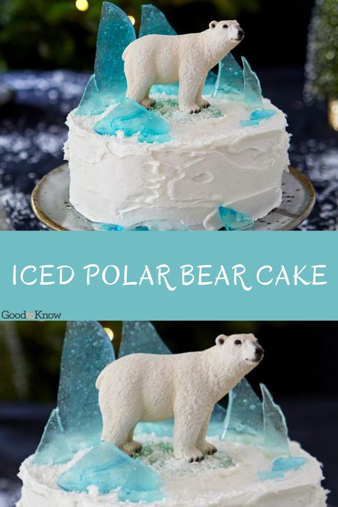 Looking for a christmas showstopper? Love all things snow and ice in the winter? Whether you're making this for children (or trying the boozy version for adults), everyone will love this iced polar bear cake. This striking but simple polar bear cake will amaze everyone, and there’s a clever trick to create these edible shards of ice. If you’re making this luxurious fruit cake for adults, soak the mixed fruit, candied peel and glacé cherries in the alcohol overnight. #polarbearcake #christmascake Arctic Cake, Polar Bear Cake, Christmas Cake Decoration, Bear Food, Lila Party, Cake Decoration Ideas, Amazing Christmas Trees, Cake 5, Glace Cherries