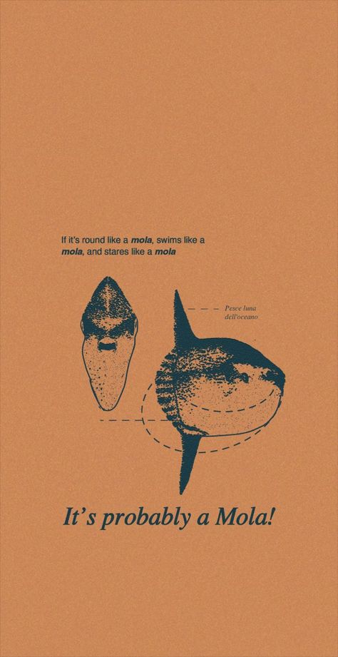 Rustic Illustration, Comfy Room Ideas, Ios 16 Lockscreen, Wallpaper Ios 16, Ocean Sunfish, Biology Poster, Mola Mola, Science Textbook, Wallpaper Ios