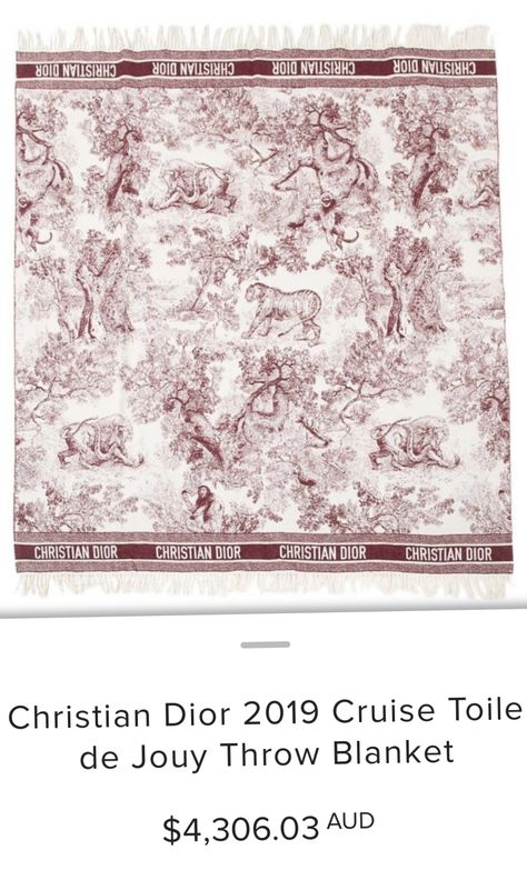 Dior Blanket, Christian Dior 2019, Dior Toile, Dior 2019, Kawaii Clothes Goth, Retail Therapy, Christian Dior, Vintage World Maps, Throw Blanket