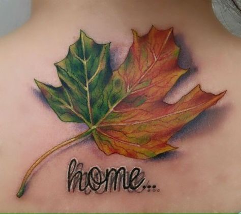 Canadian Tattoos, Tattoo Leaf, Maple Leaf Tattoos, Sarah Tattoo, Fall Leaves Tattoo, Lisa Tattoo, Fall Tattoo, Canadian Tattoo, Anatomy Tattoo