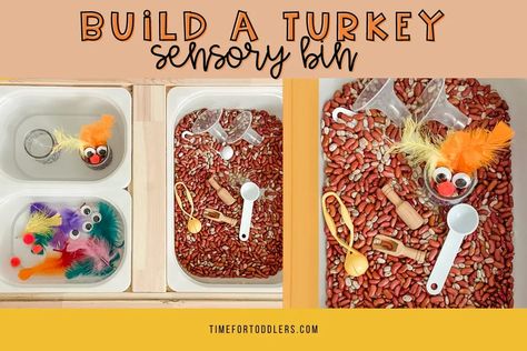 This thanksgiving sensory bin for toddlers is sure to be a hit this November! Let your toddler build their own turkey! Sensory Bin Thanksgiving, Thanksgiving Sensory Bin Preschool, Turkey Sensory Bin, Thanksgiving Sensory Bin, Thanksgiving Toddler Activities, November Preschool Themes, Thanksgiving Sensory, Turkey Crafts For Preschool, Build A Turkey