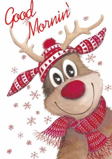 Diy Christmas Light Decorations, Reindeer Photo, Good Morning Christmas, Куклы American Girl, Cute Quotes For Him, Xmas Greetings, Christmas Table Centerpieces, Cute Good Morning Quotes, Good Morning Funny