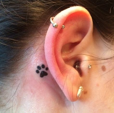 Paws Behind Ear Tattoo, Dog Ear Tattoo Behind Ear, Small Paw Print Tattoo Behind Ear, Behind The Ear Paw Print Tattoo, Paw Tattoo Behind Ear, Paw Print Tattoo Behind Ear, Cat Paw Print Tattoo, Cat Paw Tattoos, Dog Print Tattoo