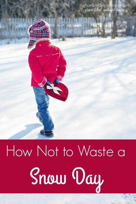 Don't waste a snow day! You can have fun, be productive, and form family traditions that will create memories that will last a lifetime! Here are some suggestions on how to make snow days fun. Homeschool Styles, Bird Cookies, Winter Birds, Family Book, Baby In Snow, Exploring Nature, Study Ideas, Snow Outfit, How To Make Snow