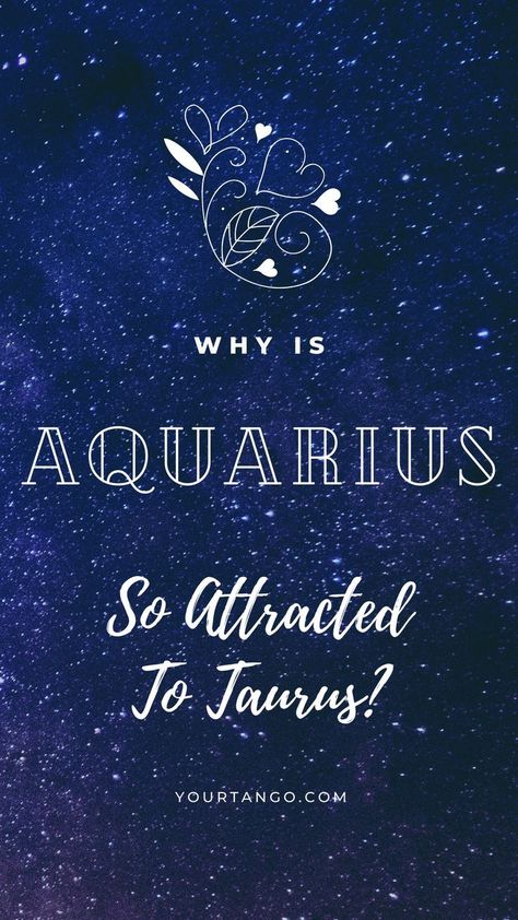 Why Aquarius Is So Attracted To Taurus | YourTango #zodiac #aquarius #love #relationship #taurus Taurus Aquarius Love Relationships, Aquarius X Taurus, Aquarius And Taurus Relationship, Taurus Man Aquarius Woman, Aquarius Taurus Compatibility, Taurus Turn Ons, Aquarius Men Relationships, Aquarius And Taurus, Taurus Relationships