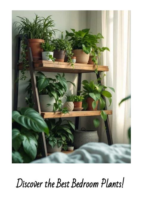 Transform your bedroom into a cozy oasis with the best plants for the bedroom. Add a touch of greenery to your space and create a calming atmosphere for better sleep. Discover our top picks for houseplants that thrive in low light and purify the air, making your bedroom a peaceful retreat. Green up your space with these easy-to-care-for plants that will brighten up your mornings and add tranquility to your nights. Say hello to a happier, healthier bedroom environment with these beautiful plant c Plants For The Bedroom, Plants In Bedroom, Peace Lilies, Bedroom Vibes, Snake Plants, Floor Plants, Bedroom Plants, Best Plants, Bedroom Floor