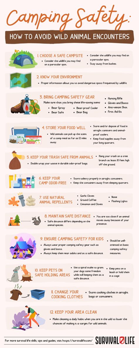 Arm yourself with these safety camping tips and enjoy a hazard-free time in the wild with your friends and family. #campingsafety #campingtips #camping #survivaltips #survivalskill #survivallife Survive In The Wild, Wild Camping Hacks, How To Survive In The Wild, Camping Safety Tips, How To Survive In The Wilderness, Survival Notebook, Travelling Van, Bear Safety Camping, Bear Safety