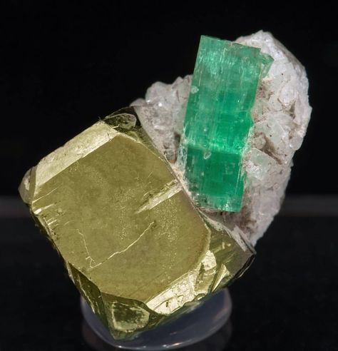 Beryl (variety emerald) with Pyrite and Calcite Fine Minerals, Mineral Stone, Minerals And Gemstones, Rocks And Gems, Natural Minerals, Gems And Minerals, Crystal Gems, Green Crystals, Crystals Minerals