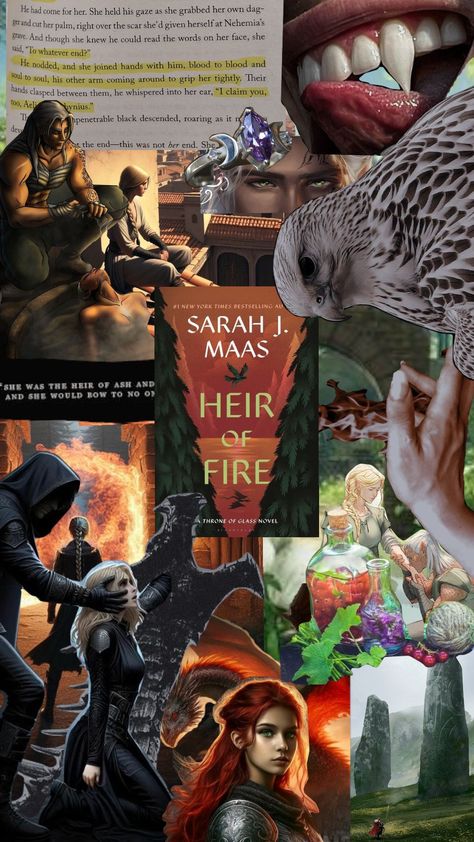 Heir of Fire by Sarah J Maas Heir Of Fire Book Cover, Aelin And Rowan Heir Of Fire, Throne Of Glass Heir Of Fire, Heir Of Fire Characters, Heir Of Fire Aesthetic, Rowan And Aelin Heir Of Fire, Heir Of Fire Rowan, Rowan Heir Of Fire, Heir Of Fire Fan Art