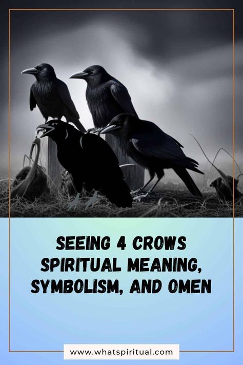 Seeing 4 Crows Spiritual Meaning, Symbolism, and Omen 2 Seeing 4 Crows Meaning, Crow Spiritual Meaning, Crows Meaning, Native American Tribes, Spiritual Meaning, Crows, New Opportunities, Spiritual Journey, Spiritual Awakening